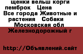 щенки вельш корги пемброк › Цена ­ 50 000 - Все города Животные и растения » Собаки   . Московская обл.,Железнодорожный г.